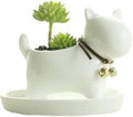 Cute Succulent Planter Animal Shaped Flower Pot Decor for Home Office Desk (Dog)