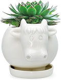 GeLive White Cow Succulent Pot, Small Ceramic Animal Planter with Drainage Hole & Saucer for Cactus, Mini Air Plants, Pencil Holder Brush Organizer, Indoor Home Office Desk Decor, Funny Gift