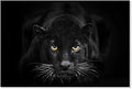 SEVEN WALL ARTS Black Panther Canvas Wall Art Large Size Black and White Wildlife Animal Pictures Poster Print Framed Artwork for Living Room Bedroom Kitchen Office Bathroom Decor