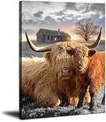 Highland Cow Canvas Wall Art Animal Print Pictures Highland Fluffy Cattle Photo Framed Farmhouse Painting 12x16 inches for Home Decor