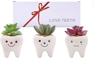 Pack of 3 Mini Shaped Tooth Planter Garden Decor Ceramic Succulent Plant Pots Set for Small Succulent Tooth Gifts for Adults Kids Dentist Gifts for Mom Grandma Women