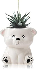 DIYOMR Cute Animals Planter, Mini Ceramic Cartoon Animal Shaped Succulent Flower Pot Indoor Air Plants Holder, Smooth Shiny Decorative Flower Cactus Planter - Plants Not Included (White Bear)