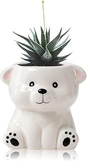 DIYOMR Cute Animals Planter, Mini Ceramic Cartoon Animal Shaped Succulent Flower Pot Indoor Air Plants Holder, Smooth Shiny Decorative Flower Cactus Planter - Plants Not Included (White Bear)