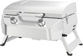 Nexgrill Stainless Steel 2-Burner Portable Gas Grill with Locking Lid, Folding Legs, 20,000 BTUs, 251 SQ In Cooking Space, Tabletop Grill for Camping, Outdoor Cooking, Patios, and More - 820-0007GE