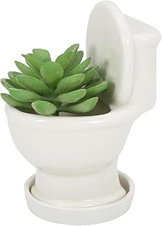 Gemseek Cute Toilet Bowl Succulent Planter Pot with Drainage Tray, White Ceramic Cactus Flower Container, Small Funny Indoor Air Plants Holder