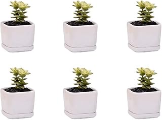 Mini 6 Set of 2x2x1.65inch Square Modern Minimalist White Ceramic Succulent mini Planter Pot/Window Box with Saucer (6, 2inch)