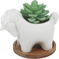 Gemseek Cute Unicorn Succulent Planter Pot with Drainage Tray, Small White Ceramic Cactus Flower Container, Animal Shaped Indoor Air Plants Holder