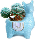 Dahlia Cute Llama Ceramic Succulent Planter/Plant Pot/Flower Pot/Bonsai Pot, Sky Blue