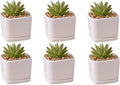 SeaStar Ceramic Succulent Mini Planter Pot,Mini 6 Set 2x1.65x2inch Square Modern Minimalist White/Window Box with Saucer for Office,Desk,House Balcony Landscape