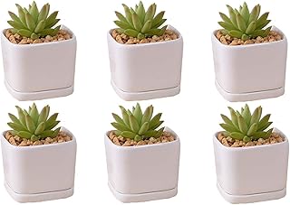 SeaStar Ceramic Succulent Mini Planter Pot,Mini 6 Set 2x1.65x2inch Square Modern Minimalist White/Window Box with Saucer for Office,Desk,House Balcony Landscape
