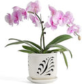 Fayoula Ceramic Orchid Pot, 6 Inch Orchid Pots with Holes and Saucer for Indoor/Outdoor Plants Drainage & Air Circulation, White Orchid Planter for Repotting or New Plants