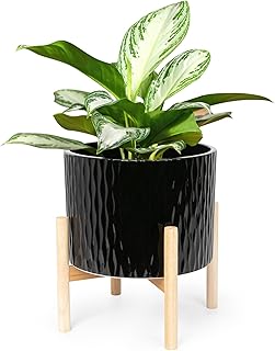 LaDoVita Ceramic Plant Pot with Stand, 10 Inch Planter with Wood Shelf, Modern Round Flower Pots Indoor with Wood Planter Holder, Black Water Ripple Pattern