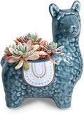 Dahlia Cute Llama Ceramic Succulent Planter/Plant Pot/Flower Pot/Bonsai Pot, Blue Gray
