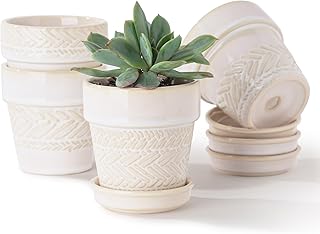 Fayoula Succulent pots,Indoor Small Succulent Bonsai,3 Inch Mini Ceramic Succulent Pots with Saucer and Drainage Hole, Decorative Planter for Succulent, Cactus, Set of 4.