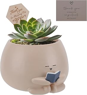 Bookworm Planter Pot - Cute Plant Pots for Succulents with Thank You Sign & Card, Small Reading Planter for Indoor Outdoor Decor, Succulent Gifts for Book Lovers, Teacher Dad Mom Appreciation