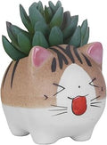 VanEnjoy 4.7 Inch Larger Handmade Cute Cartoon Ceramic Succulent Cat Pot With Drainage Hole, Flower Pot, Ornaments - Gifts for Cat Lovers Office (Tongue Sticking)