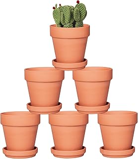 Orceler 4 Inch Terracotta Pots with Saucer - 6 Pack Small Clay Plant Pots with Drainage Holes, Flower Pots with Tray, Terra Cotta Pots for Indoor Outdoor Plants, Crafts, Wedding Favor