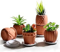 B SEPOR Ceramic Planters Handmade Mini Clay Flower Pot for Small Indoor Plant Succulent Cactus with Melamine Saucer Tray (Terracotta)
