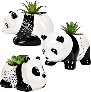 Cute Animal Succulent Pots Bulk, Small Animal Succulent Planters for Indoor Plants, Mini Panda Flower Ceramic Pots Set of 3