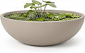 KUTE NEST 6.9" H x 19.7" D Premium Rondo Round Bowl Fiberstone Planter for Succulent and Lotus with Drainage Hole, Smooth Finishes, Weather Resistant, Included 2 Coco Mats (Taupe, 17.9" Pot Opening)