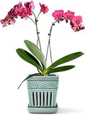 SUADEN Orchid Pots with Holes | 5" Ceramic Orchid Planter with Separate Saucer and Drainage Holes | Crackle Glazed Pottery Small Flower Pot for Repotting Orchids（Blue）