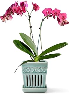 SUADEN Orchid Pots with Holes | 5" Ceramic Orchid Planter with Separate Saucer and Drainage Holes | Crackle Glazed Pottery Small Flower Pot for Repotting Orchids（Blue）