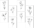 FurnoFlexArt Acoustic Panels Tiles Decorative Room Sound Proof Foam Absorbing Panels Noise Dampening Canceling Reducing Blocker for Walls (Floral Sketch, 48 * 32 in)
