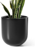 LE TAUCI 10 Inch Plant Pot, Ceramic Pots for Plants with Drainage Hole and Rubber Plug, Plant Pots Indoor for Olive Tree, Cylinder Planter Pot for Home Patio Office, Black