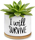 WHING 3.5 Inch Mini Succulent Planter Pot, I Will Survive Funny Engraved White Ceramic Cactus Pot with Bamboo Tray, Indoor Flower Plant Pots for Home Office Windowsill Decor Gift, Plant Not Included