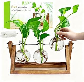 Renmxj Plant Propagation Stations with Wooden Stand & 3 Glass Bulb Vases - Plant Terrarium for Indoor Plants, Home Office Desk Decor, Gardening Gifts for Women Mom, Birthday Gifts for Plants Lovers