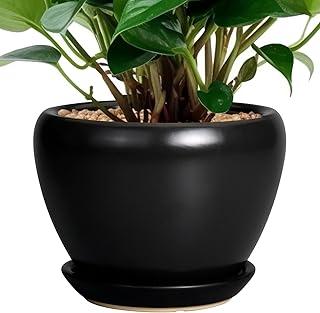 Ceramicfor Ceramic Planter Pot - 6 Inch Plant Pot with Drainage Hole and Saucer Round Planter for Indoor Plants Outdoor Succulent Pot Modern Flower Pot for Home Decor Black
