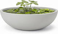 KUTE NEST 6.9" H x 19.7" D Premium Rondo Round Bowl Fiberstone Planter for Succulent and Lotus with Drainage Hole, Weather Resistant, Included 2 Extra Coco Mats (Light Gray, 17.9" Pot Opening)