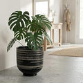 HERDUK Large Black Ceramic Planter for Indoor Trees, Modern Indoor Floor Planter Pot for Olive Trees & Faux Olive Trees, Pottery Planter with Drainage for Real Plants