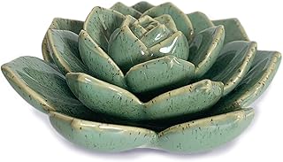 Ceramic Succulent Flowers Table Top with Stable Base, 3D Handmade Tablescape Decorative (Green)