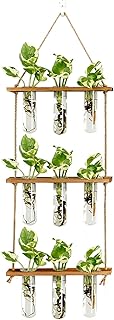 XXXFLOWER Wall Hanging Propagation Station with Wooden Stand Glass Test Tubes Tiered Planters Wall Terrarium for Home Office Plant Hanger Flower Vases Wall Decor Hydroponic Cuttings (9 Tube Vases)