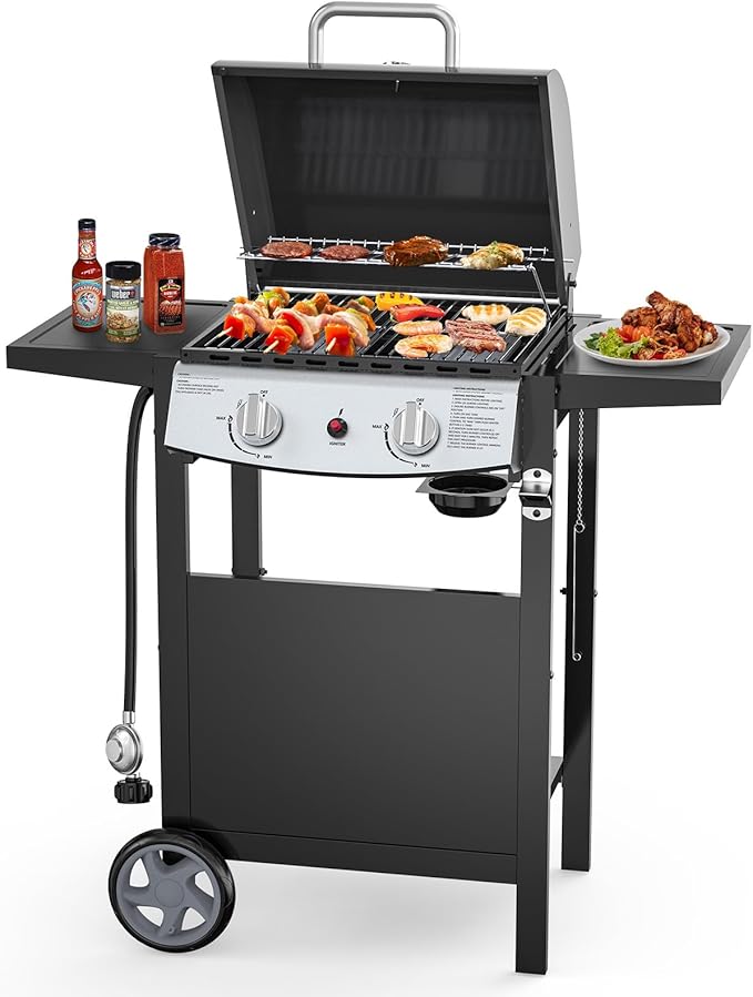 Electactic 2-Burner Propane Gas BBQ Grill, 20,000 BTU Stainless Steel Grill with Side Shelves and Wheels, Portable Outdoor Grill for Patio, Backyard, Garden, or Camping Cooking