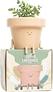Original Earthlings Sitting Pot - 4 Inch Cute Plant Pot - Plastic Funny Planter with Drainage, Unique Cactus Plant Lover Gift, Succulent Face Flower Pot, Desk Plant, Table Top Decor, & Home Gifts