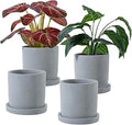 MyGift 4 Inch Unglazed Gray Concrete Planter, Cylindrical Cactus Herb Succulent Planter Pots with Removable Drainage Trays, Set of 4
