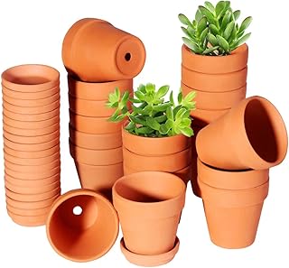 TKSCUSR 3 Inch Terracotta Pots with Saucer-20 Pack，Cactus Terra Cotta Flower Pot with Drainage，Succulent Nursery Clay Pots Great for Plants,DIY Crafts, Wedding Favor