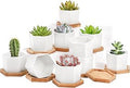 Foraineam 10 Pack Mini Succulent Plant Pots, 2.76 inch Hexagonal White Ceramic Succulent Cactus Planters with Bamboo Tray