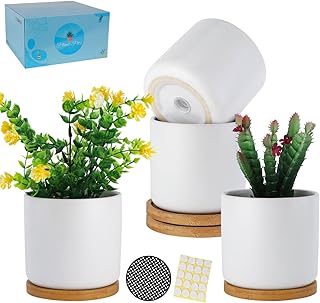 4 Inch White Ceramic Plant Pots with Drainage Holes, Adorable Flower Planter Pot with Tray for Indoor Succulent Plants, Snake Plants, Cactus & Herbs, Set of 4 (Plant Not Included)