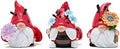 Hodao Spring Ladybug Gnome Decor Set of 3, Resin Floral Figurines for Tiered Tray Shelf Table Display, Cute Farmhouse Home Accent, Year Round Gift for Women, Friends and Family