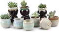 T4U Small Ceramic Succulent Pots with Drainage - Set of 12, Mini Pots for Plants, Home and Office Decor, Plant Lover Gifts for Women