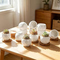 ZOUTOG Succulent Plant Pot 12 Pack, 2.5 inch Square Pattern Ceramic Planters with Bamboo Tray, Small Succulent Pots Indoor, White Office Desk Decor (Seeds＆ Plants Not Included)
