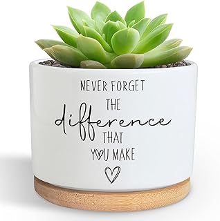 DOFAFALA Funny Planter Succulent Flower Pot, Flower Cactus Planter Gifts, Appreciation Inspirational Gifts for Plant Lovers Women Men Coworkers Home Office Decor (No Plants)