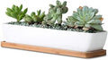 11inch Long Rectangle White Ceramic Succulent Planter Pots/Mini Flower Plant Containers with Bamboo Saucers. Product Size:11x2.23x1.69inch,not Include The Plant. (Long Rectangle)