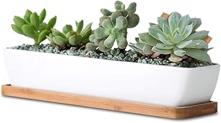 11inch Long Rectangle White Ceramic Succulent Planter Pots/Mini Flower Plant Containers with Bamboo Saucers. Product Size:11x2.23x1.69inch,not Include The Plant. (Long Rectangle)