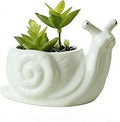 Snail Succulent Planter, Ceramic Animal Flower Pot for Home Office Desk Decor, Small Cactus Planter Pot, for Plant Lovers