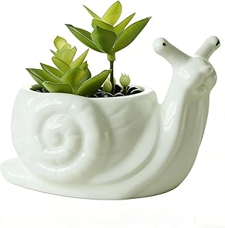 Snail Succulent Planter, Ceramic Animal Flower Pot for Home Office Desk Decor, Small Cactus Planter Pot, for Plant Lovers