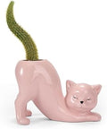 TOIVO Cat Planter Pot，Indoor and Outdoor Plant Displays，Funny Ceramics Cat Flower Pot，Gifts for Cat Lovers，Lovely Office Desk Room Home Decor (Pink, Small)